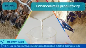 Milk production booster for Dairy animals