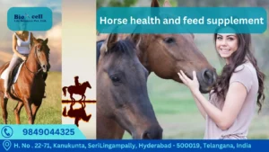 Horse health supplement