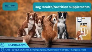 Dog health and feed supplements