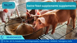 Swine feed and health supplements