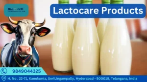 Lactocare products for cow and buffalo