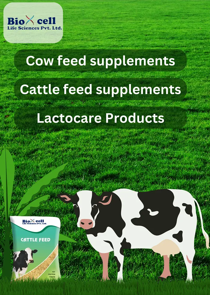 Bio x cell cattle feed manufacturer