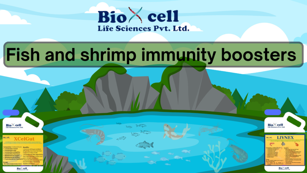 Fish and shrimp immunity boosters